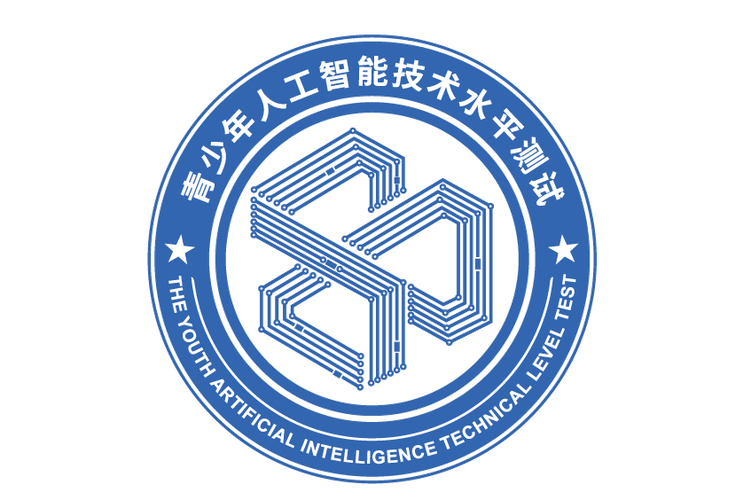 人工智能公共服务技术咨询服务 能力水平考查的制度化路径